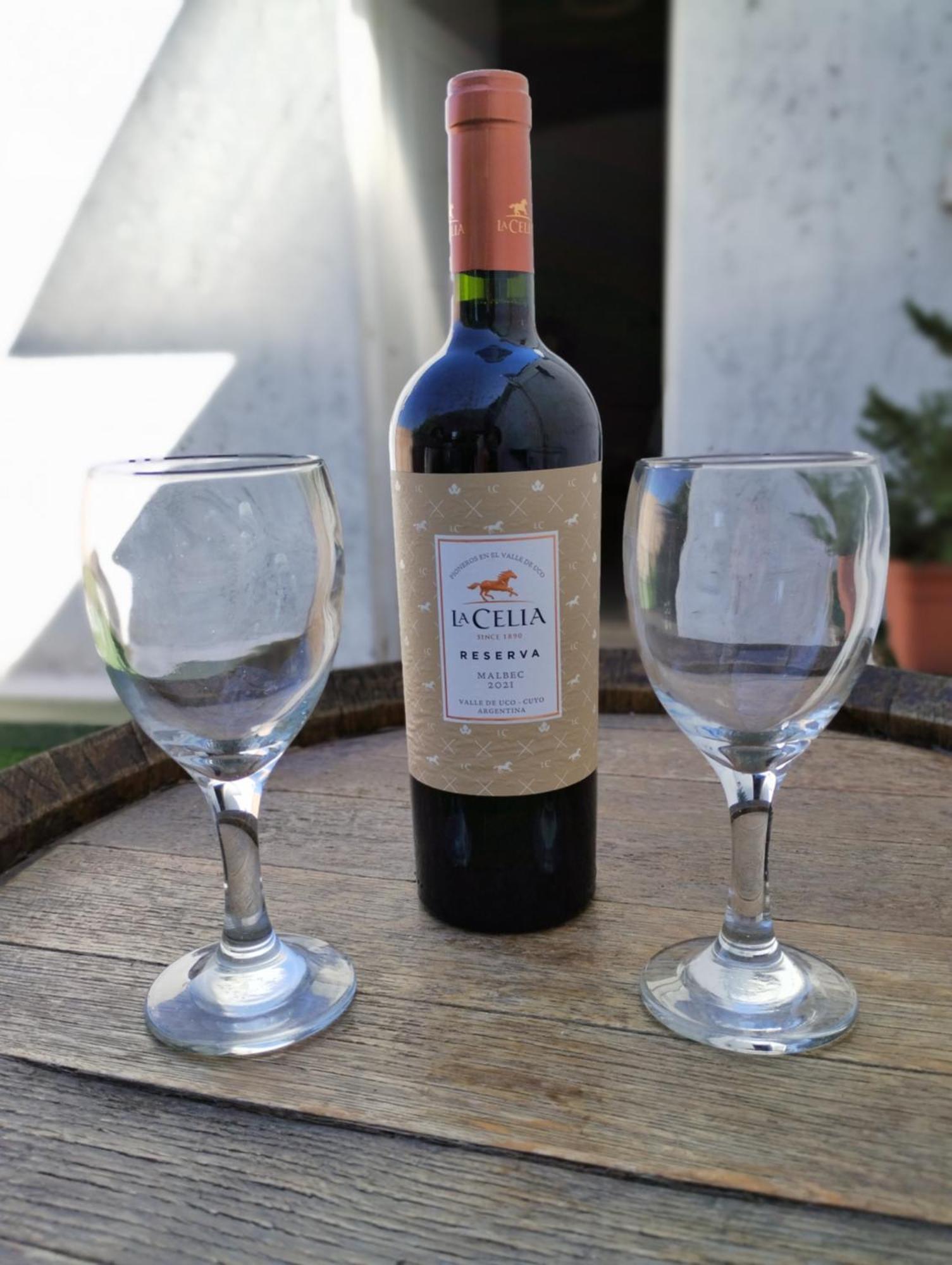 La Barrica Estudio En Mendoza Capital, Centrico Y Acogedor, Con Hermosa Terraza Para Disfrutar Luaran gambar